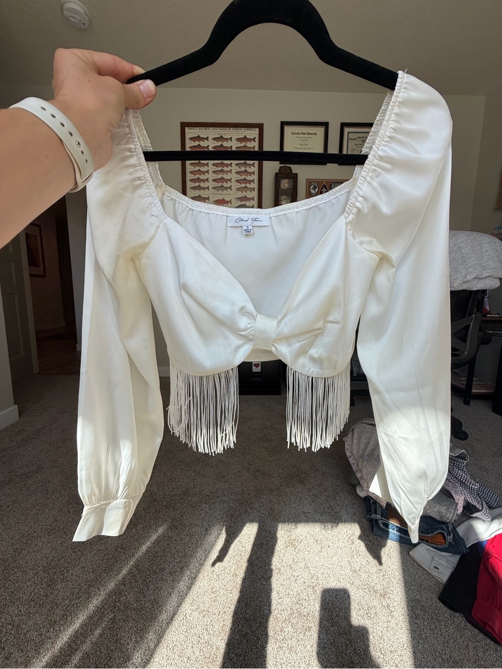 Western Long-Sleeve Fringe Crop Top